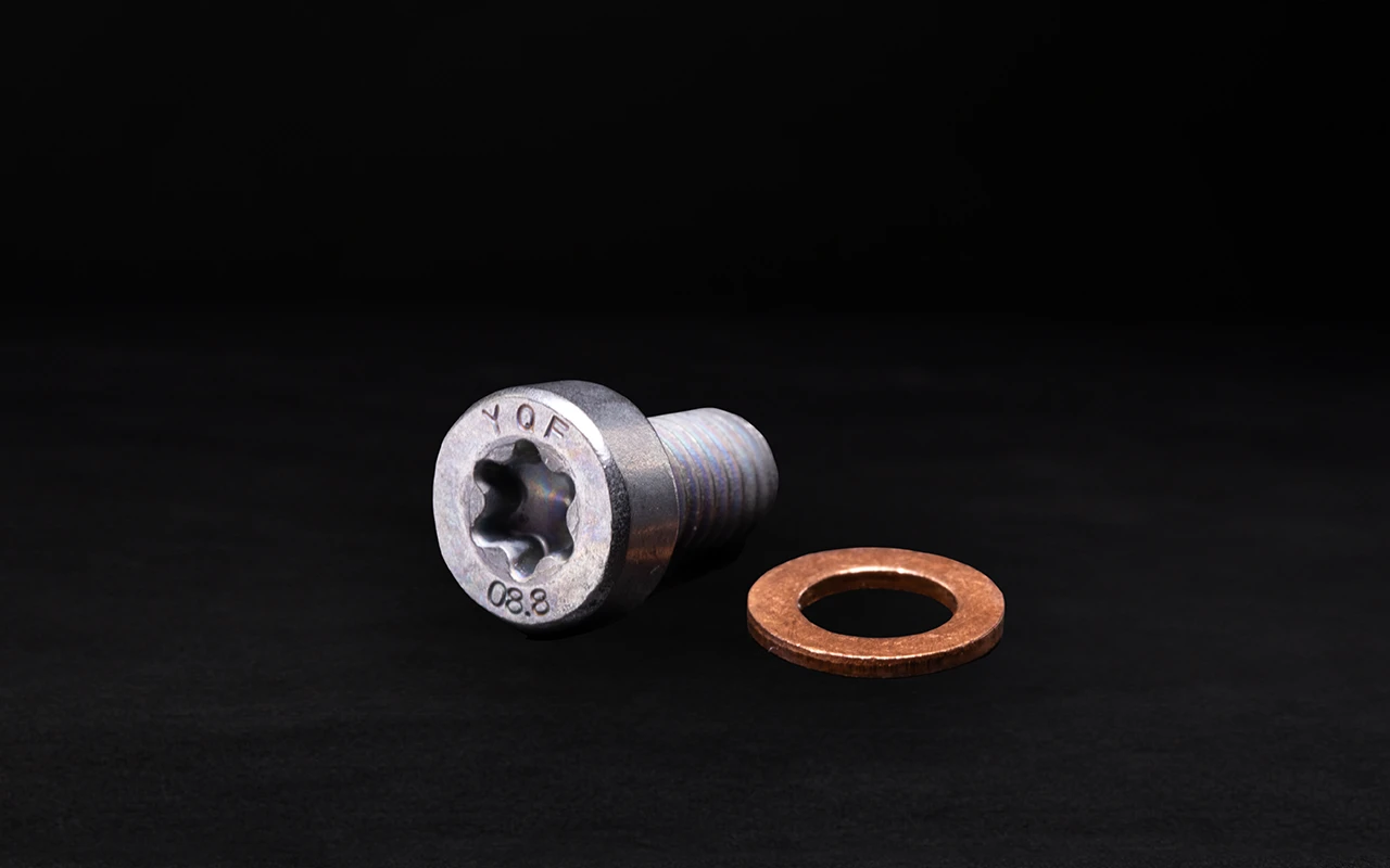 M5x8 gear oil level bolt
