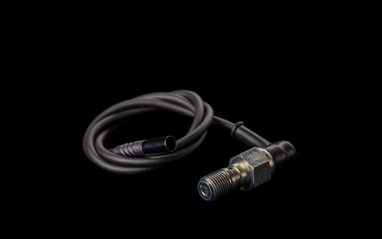 Rear foot brake switch
